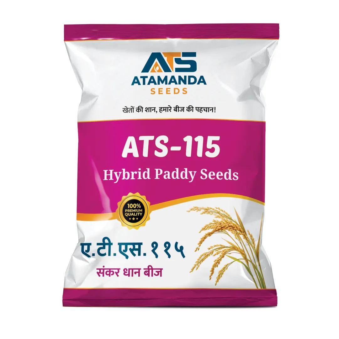ATS-115 Hybrid Paddy Seeds