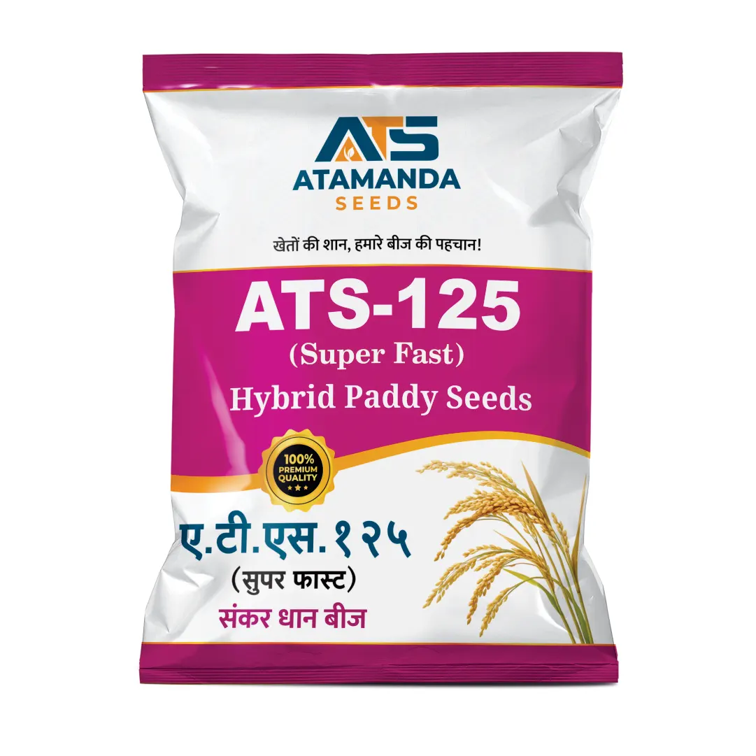 ATS-125 Hybrid Paddy Seeds