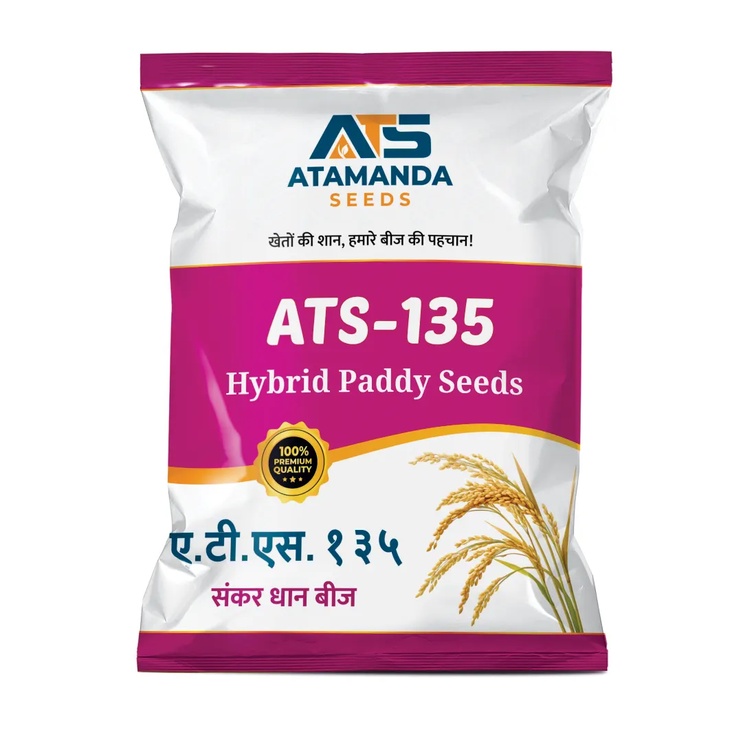 ATS-135 Hybrid Paddy Seeds