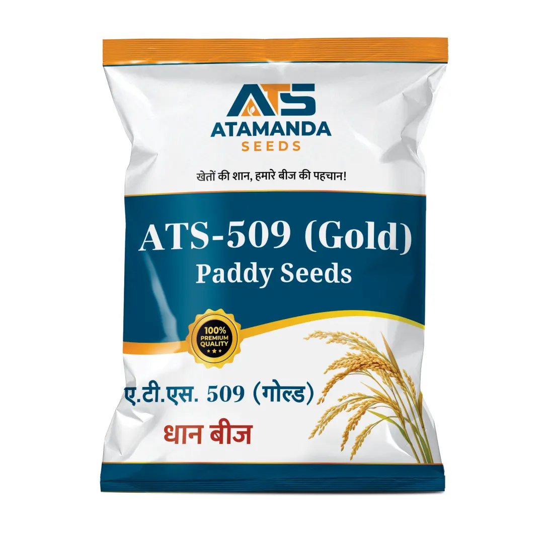 ATS-509 (Gold) Paddy Seeds