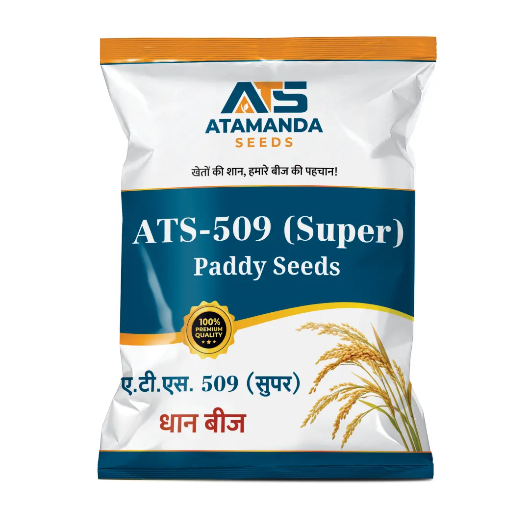 ATS-509 (Super) Paddy Seeds