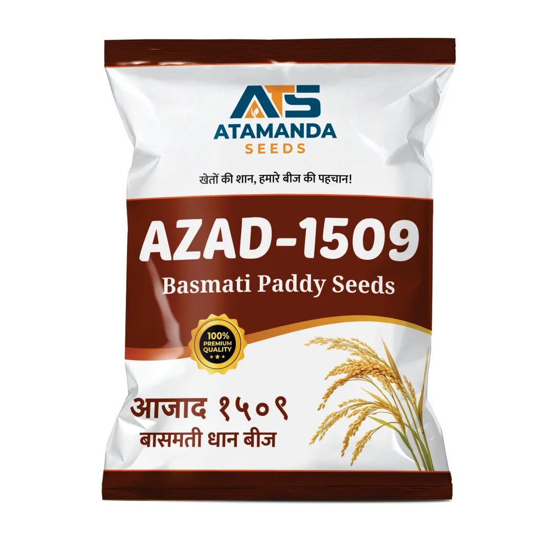 ATS-AZAD 1509 Basmati Paddy Seeds