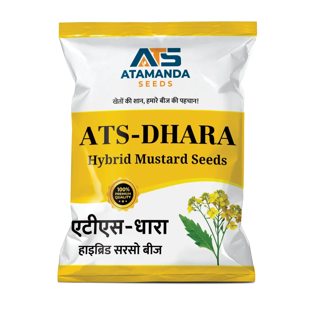 ATS-DHARA Hybrid Mustard Seeds