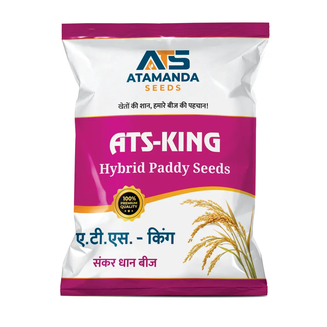 ATS-KING Hybrid Paddy Seeds