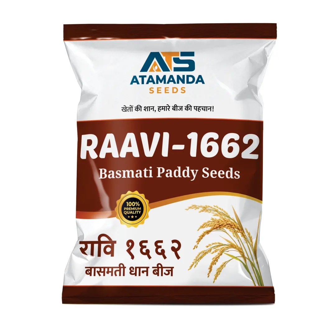 ATS-RAAVI 1662 Basmati Paddy Seeds