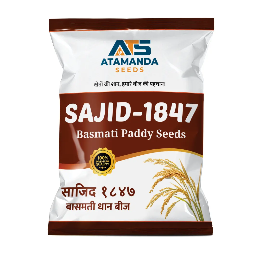 ATS-SAJID 1847 Basmati Paddy Seeds